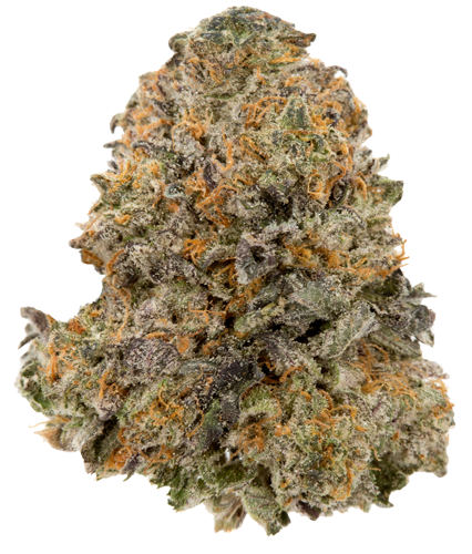 Northern California Cannabis Strain G-Runtz