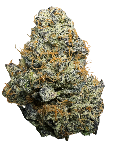 Northern California Cannabis Strain Ice Cream Cake