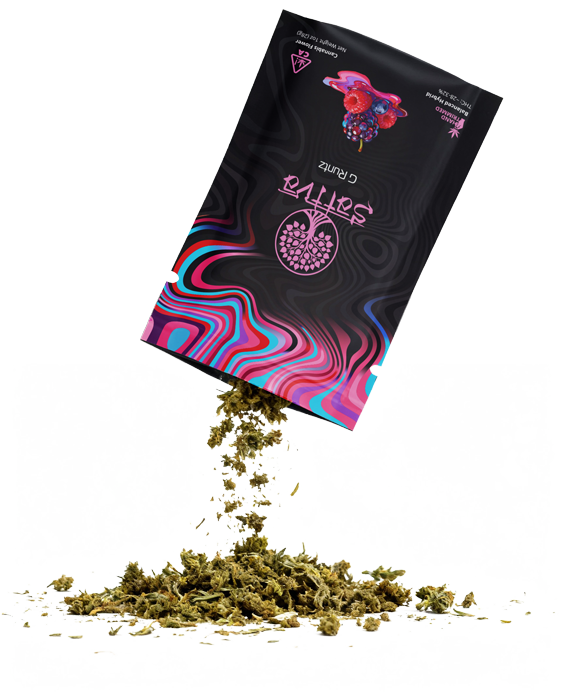 Small batch artisanal cannabis flower close-up