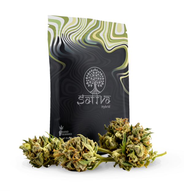 Sattva Cannabis indoor cultivation in Northern California